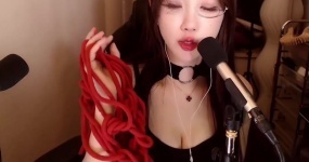 轩子 sm的进阶教学