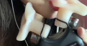 青蛙猪爱睡觉 暴躁舔耳