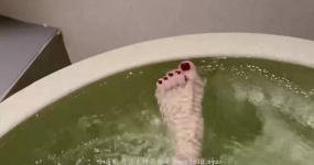 晚安yoyo 身临其境舒缓放松温泉jiojio
