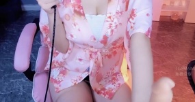 白鹿姬 红绿灯