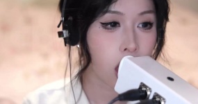 其实事椰子啦 SR3D 贴贴天鹅