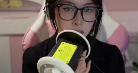 其实是椰子啦  腹黑姐姐天鹅剧情