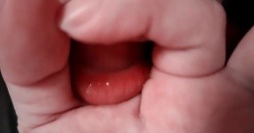 网红系列 口火