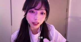 小鸟大王 红绿灯护士