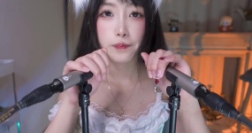 二呆啾 白喵娘